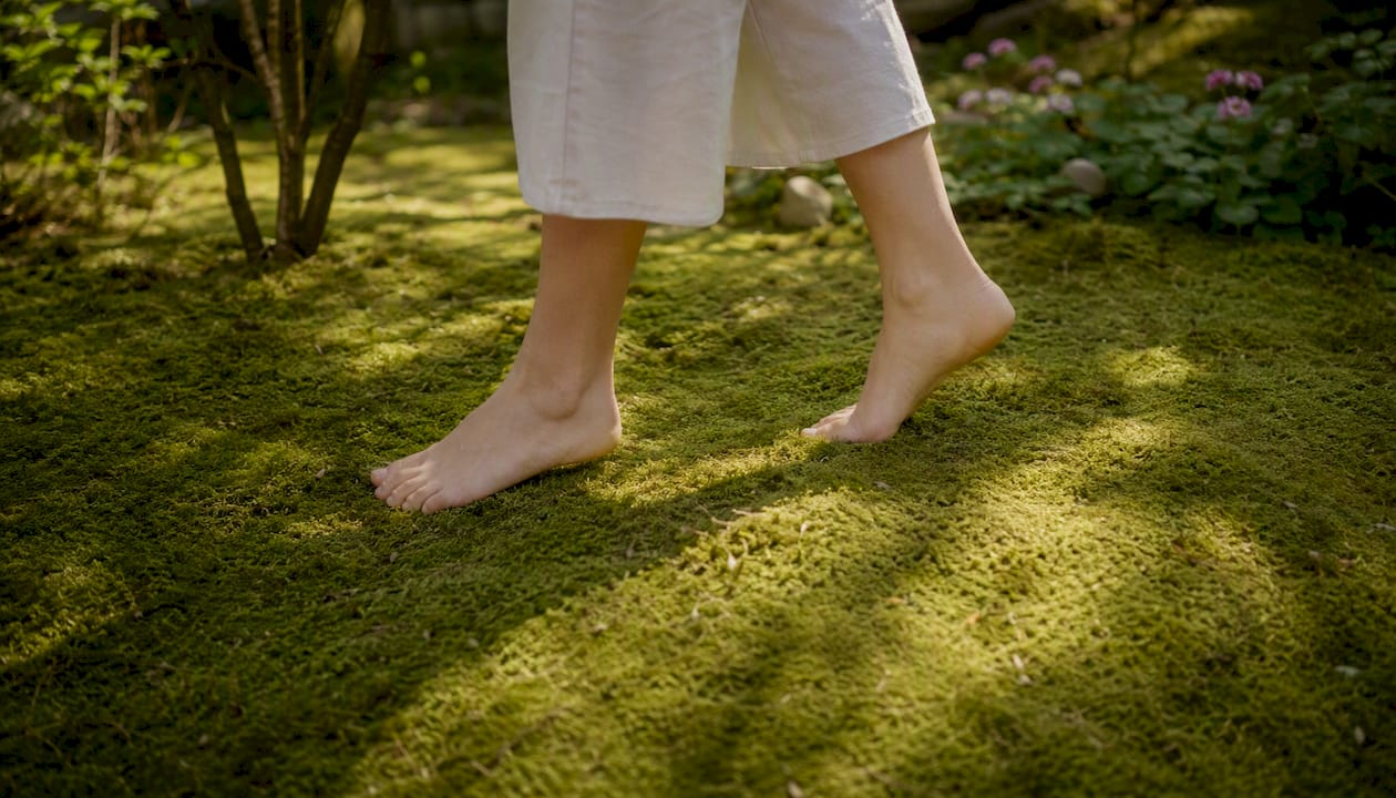 Barfuß auf frischem Gras laufen – ganz nah eingefangen