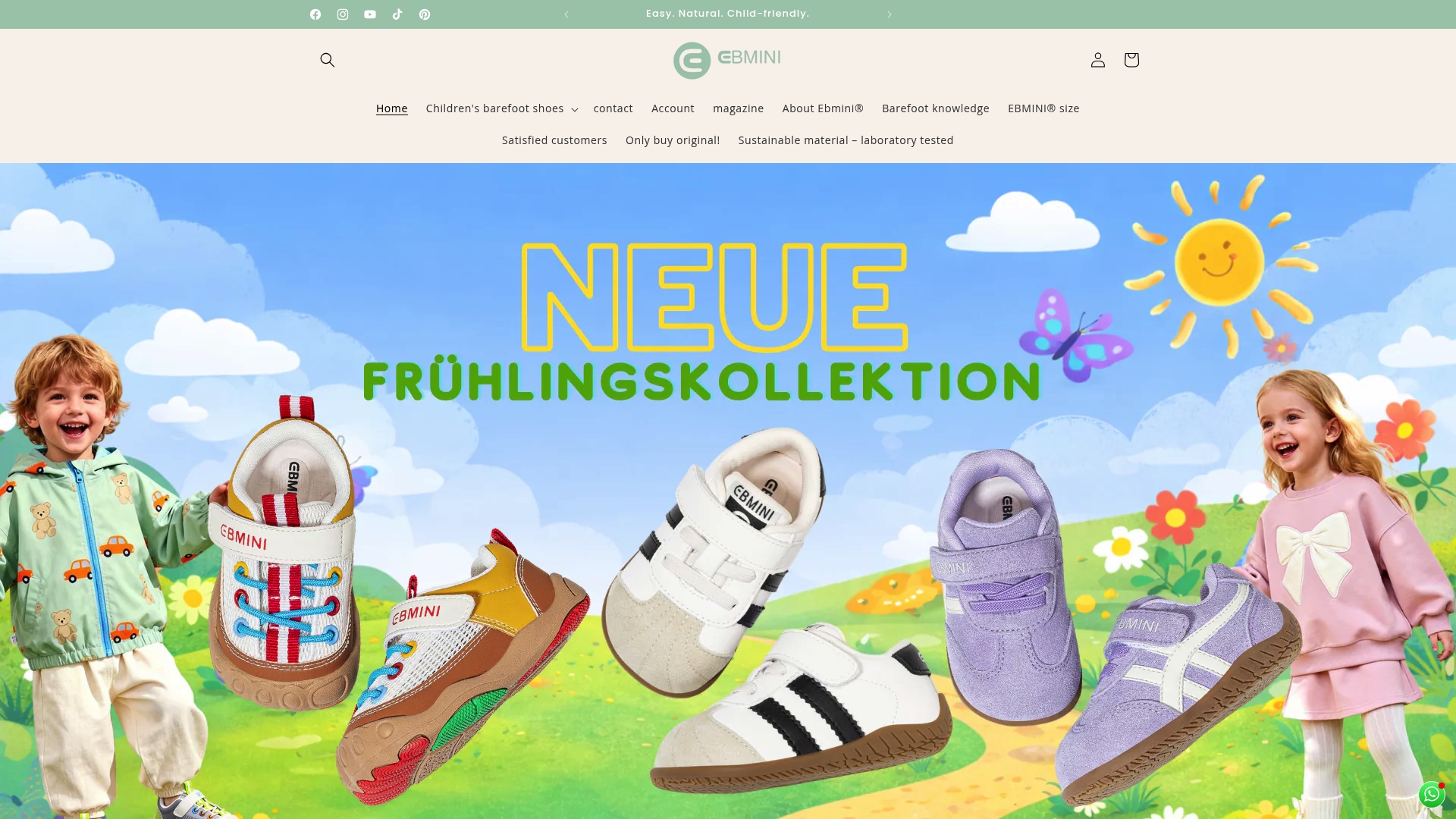 https://ebmini.de