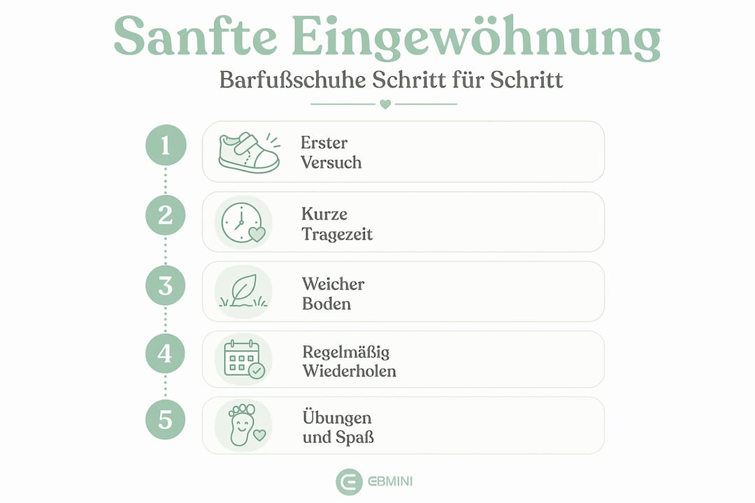 Schritt-für-Schritt-Anleitung: So gelingt die Eingewöhnung in Barfußschuhe – eine Übersicht als Infografik