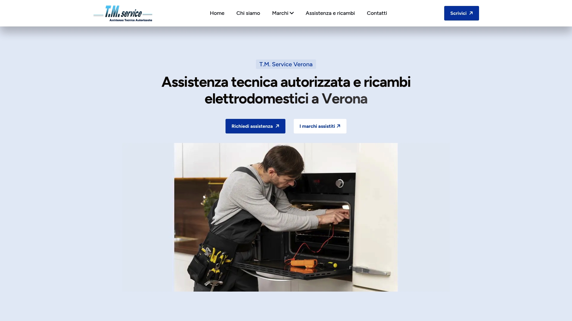 https://tmserviceverona.it