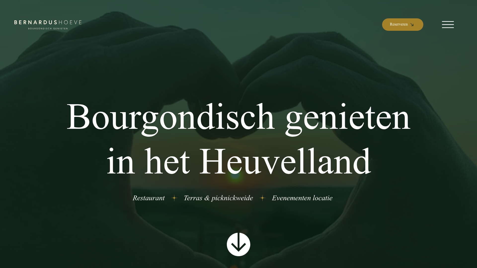 https://bernardushoeve.nl