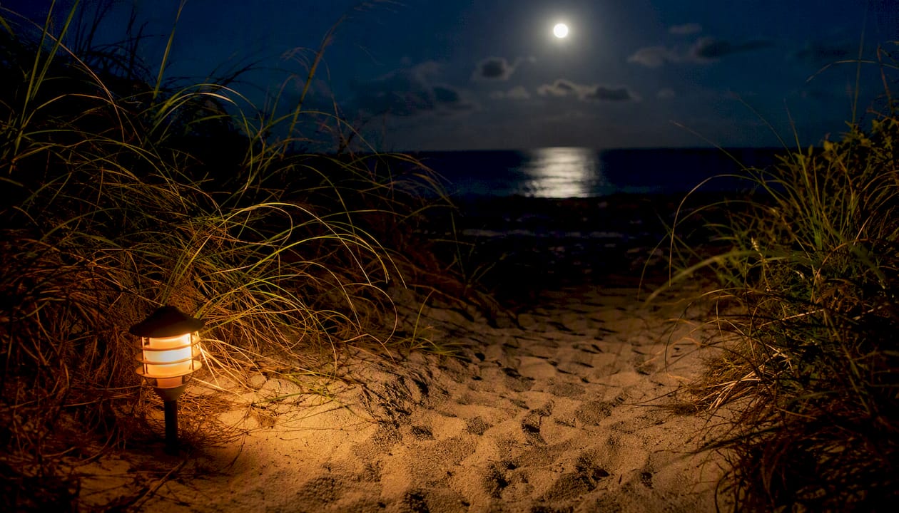Illuminated beach path at night by flashlight