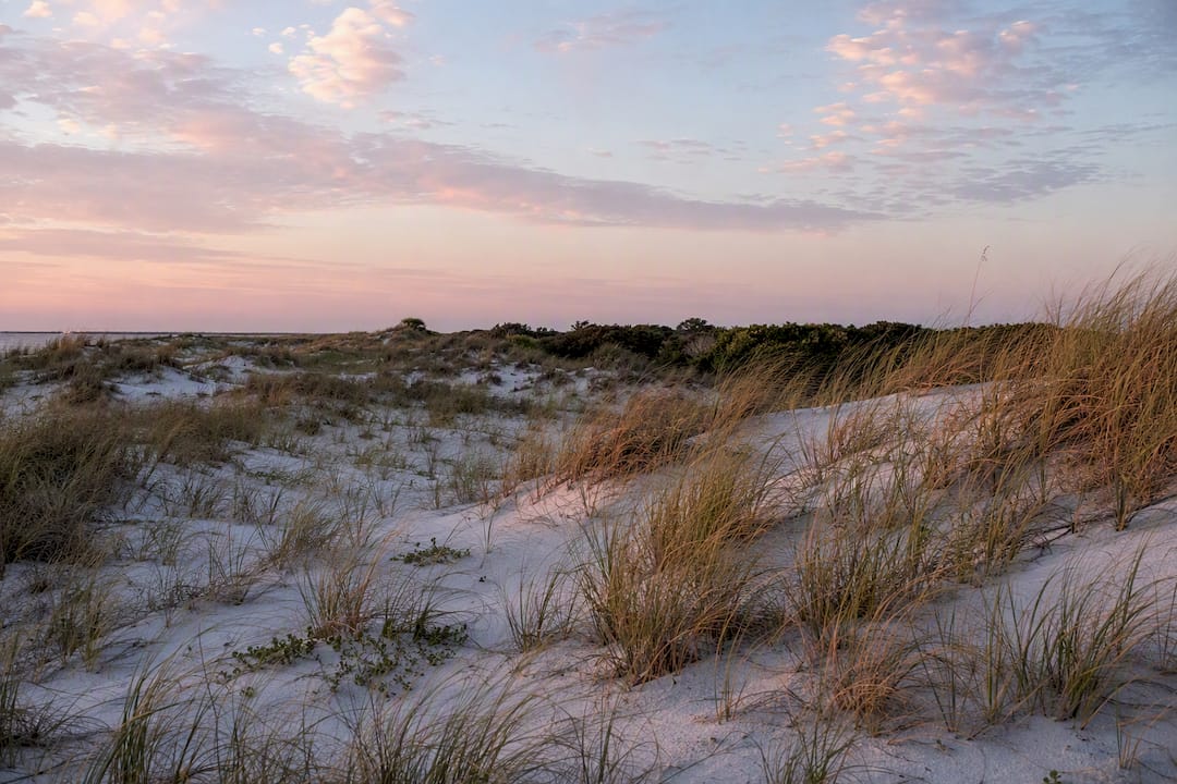Empty sand dunes at Alison Hagerup Beach Park