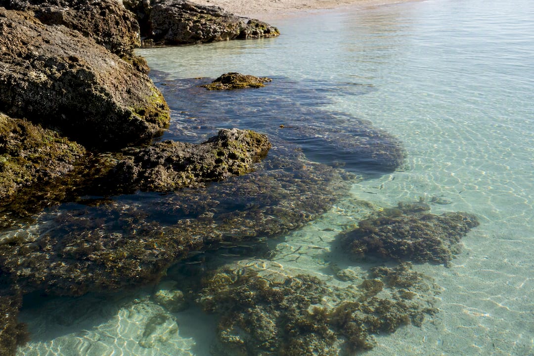 Rocky Turner Beach snorkeling outcrops