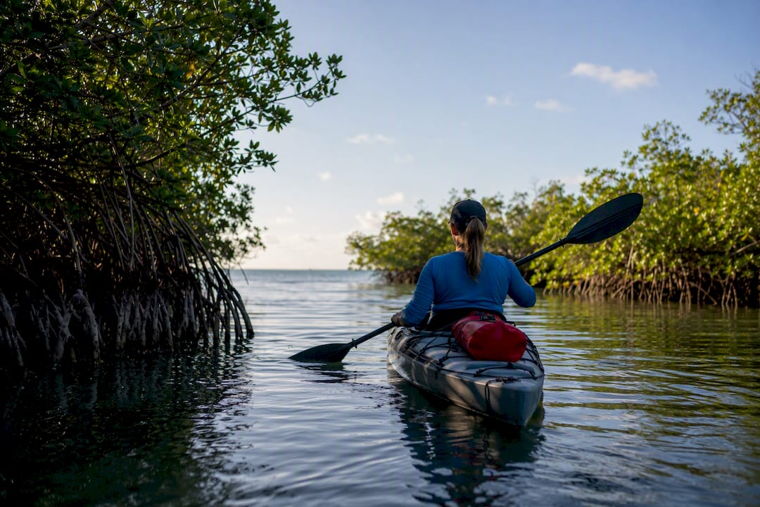 Kayaker paddling Buck Key mangrove channel