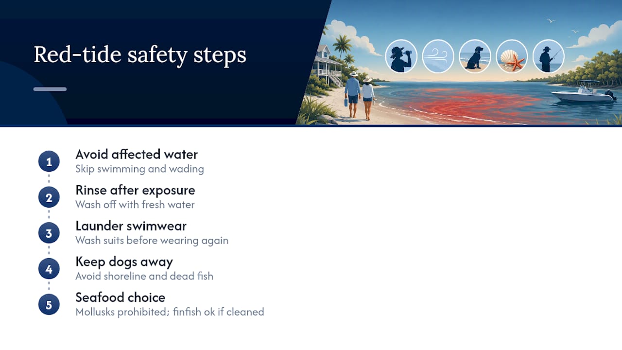 Red tide exposure and seafood safety steps