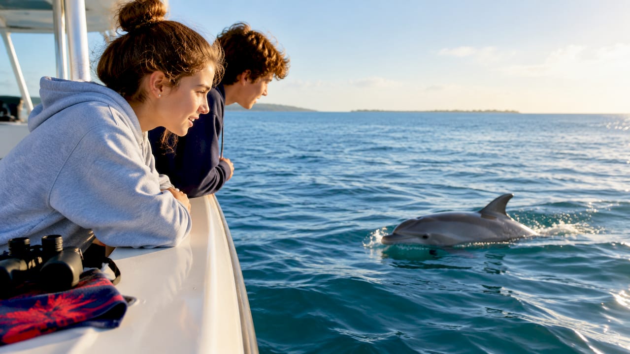 Teens watching a dolphin from cruise boat