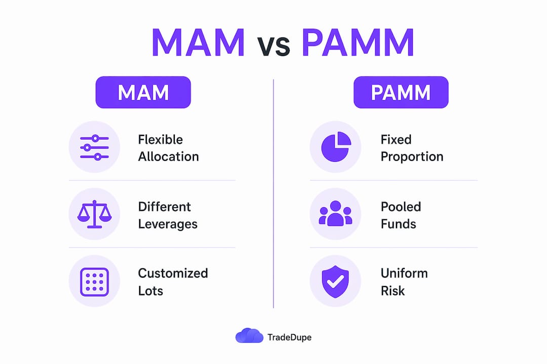 Infographic comparing MAM and PAMM trade management