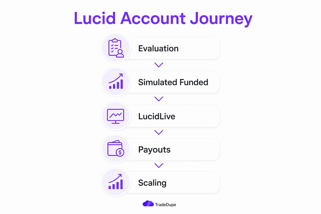Infographic showing Lucid account progression steps