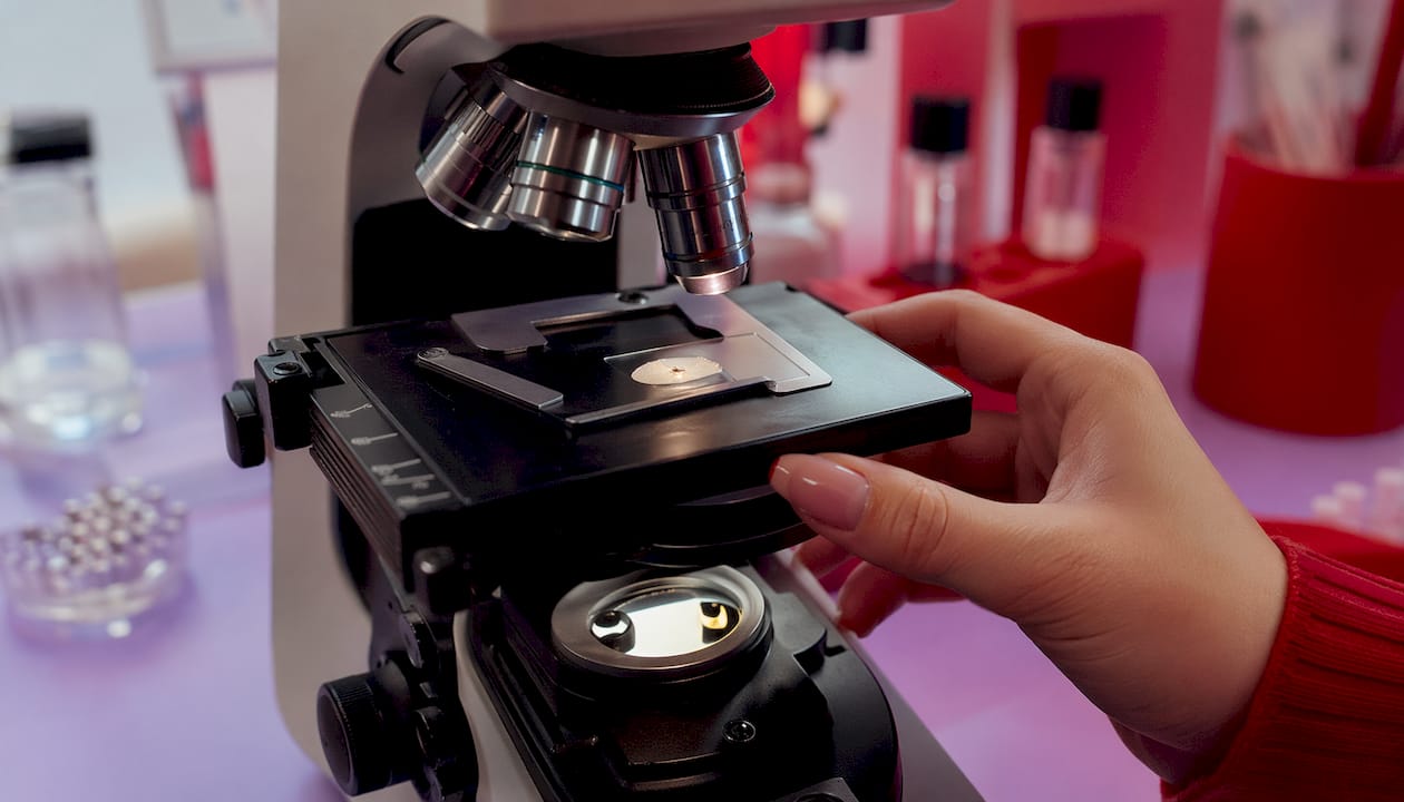 Microscopic view of nail keratin layers