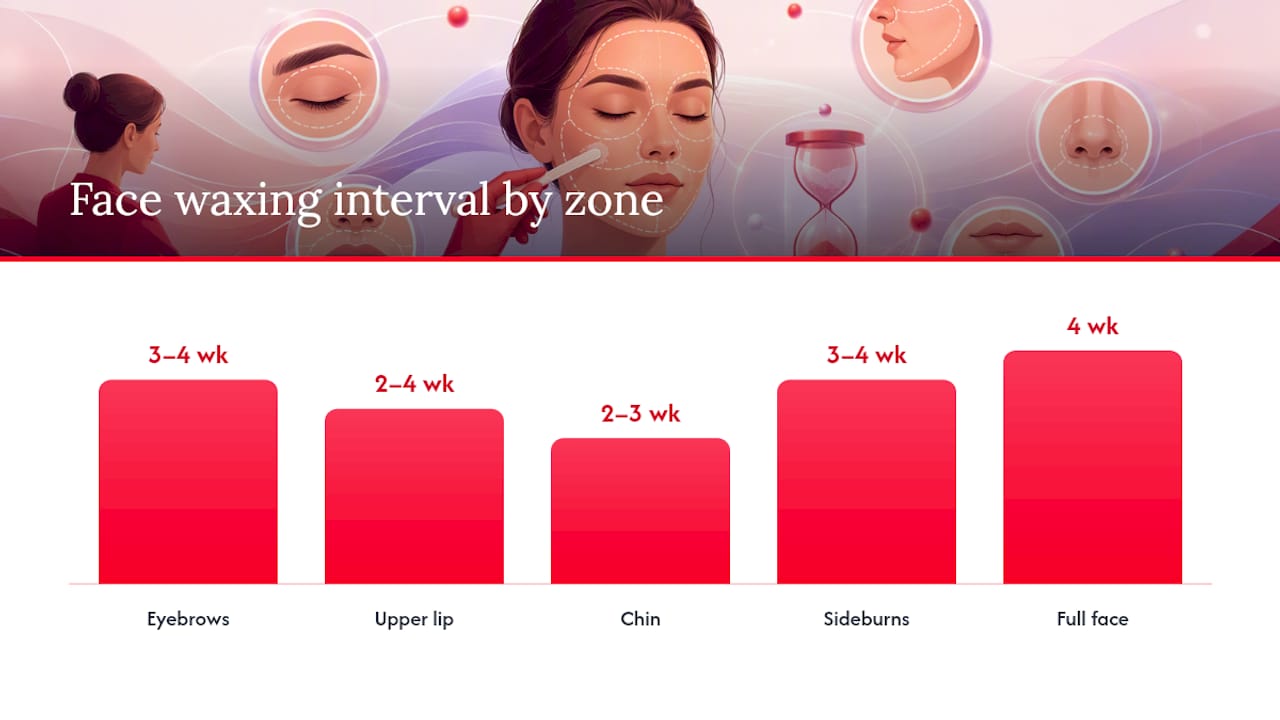 Waxing Frequency for the Face: A Schedule by Zone — overview diagram