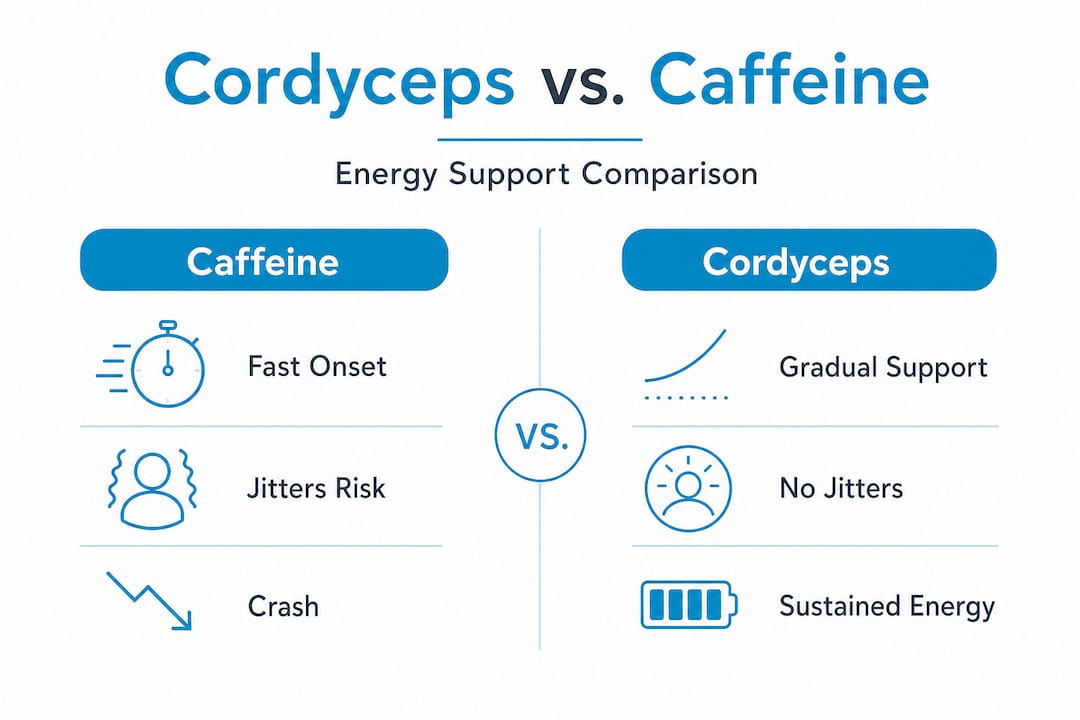 Infographic comparing cordyceps and caffeine effects