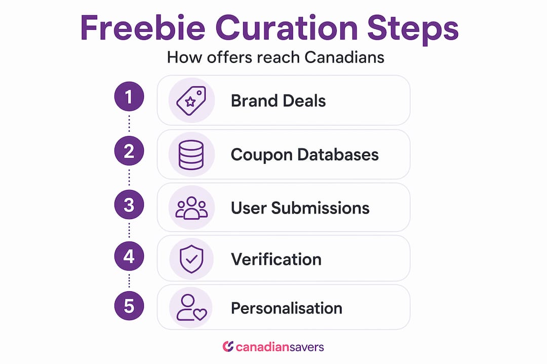 Steps in freebie website curation