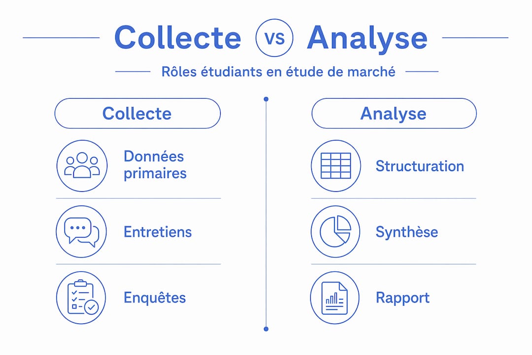 Visualisation des données : de la collecte à l’analyse pour une étude de marché approfondie