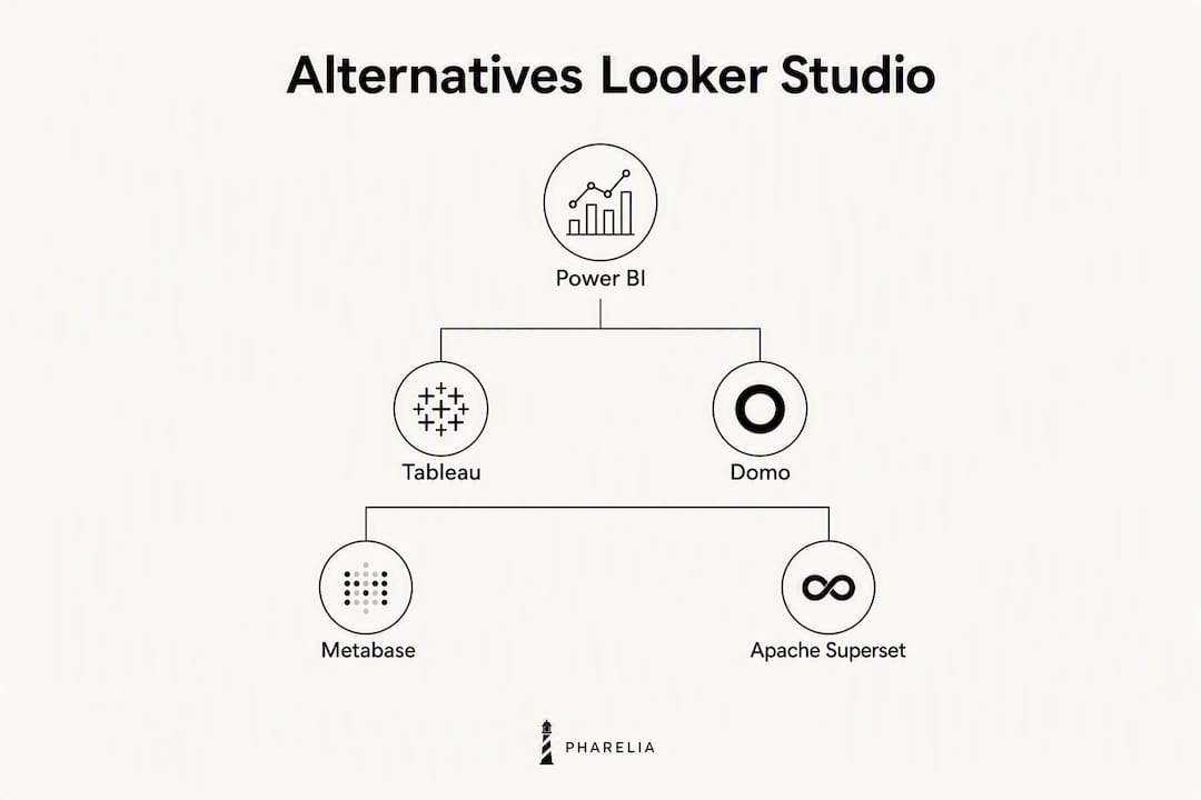 Classement des meilleures alternatives à Looker Studio en infographie