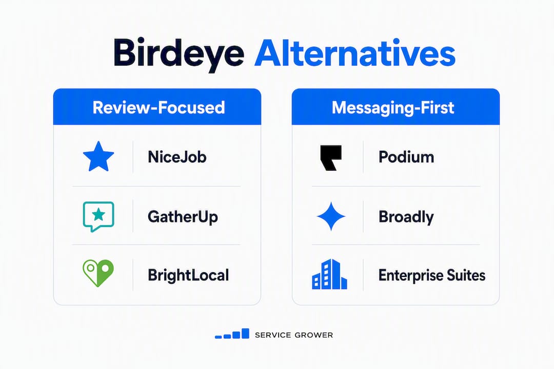 Infographic comparing Birdeye alternatives categories