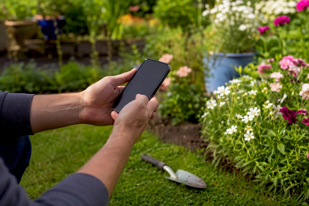 Finding Local Providers With a ZIP-Code Service Area Search