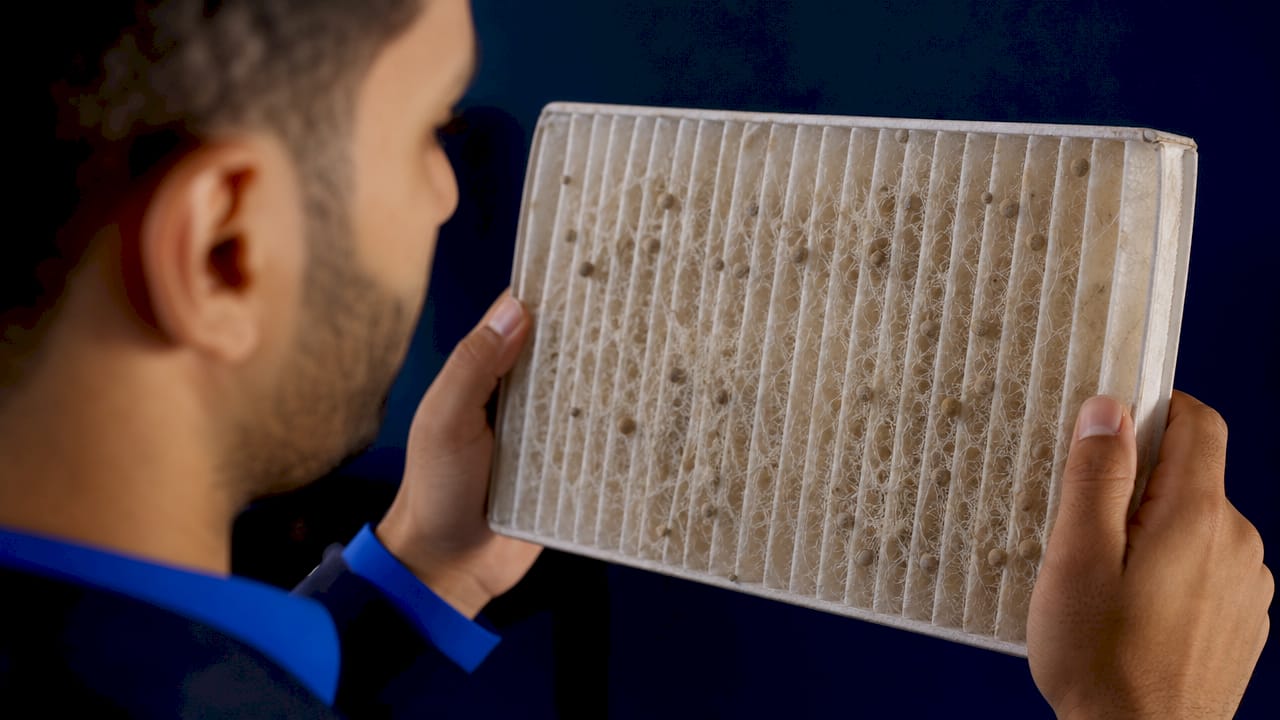 Close-up of HEPA filter fibers capturing mold spores