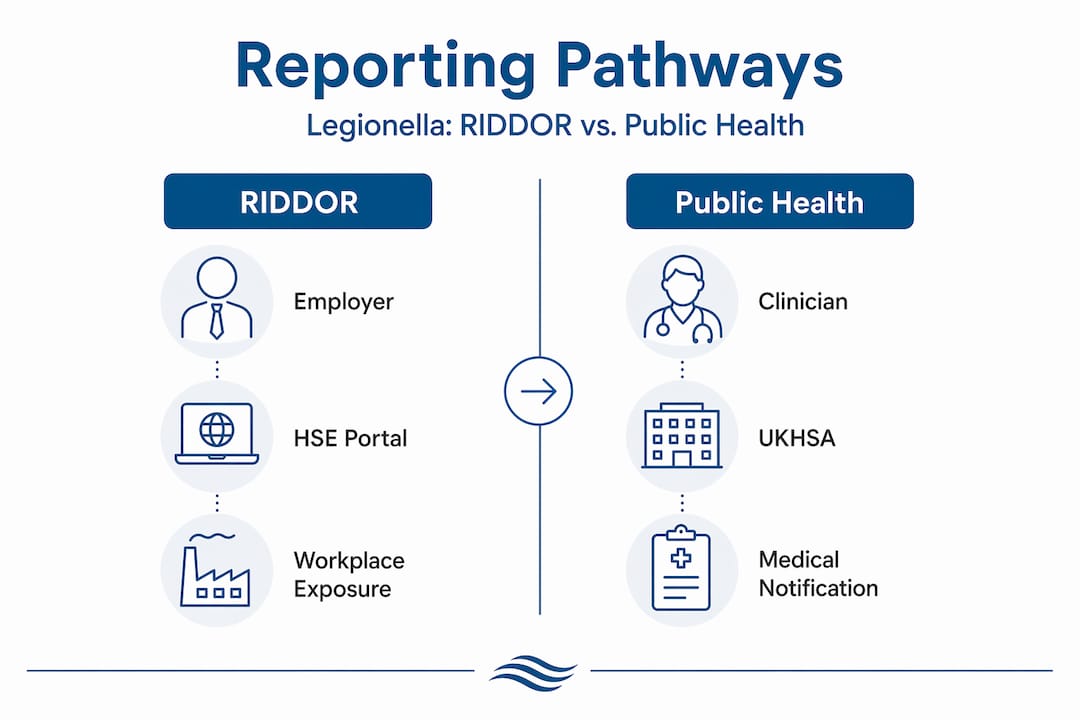 Infographic comparing RIDDOR and public health reporting