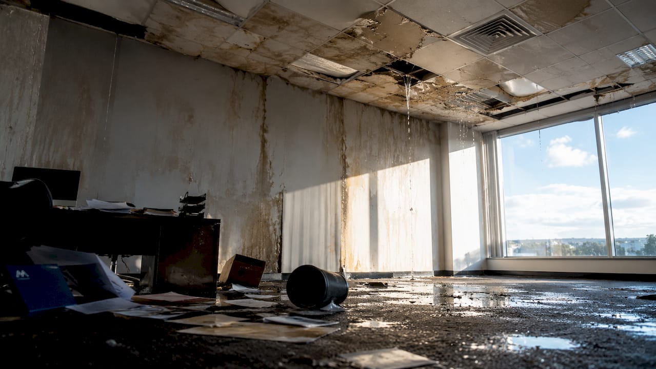 Water damage under sprinkler head in office interior