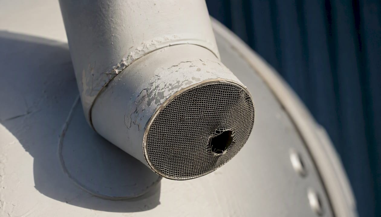 Damaged insect-proof screen on water tank vent pipe