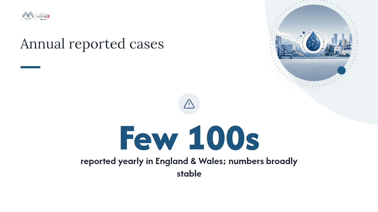 How many Legionella cases are reported per year in the UK? — overview diagram