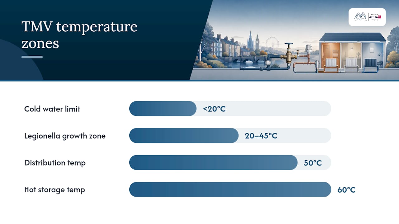 TMV hot cold blending and pipe run comparison