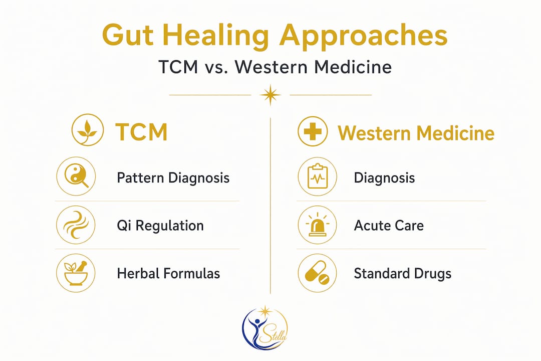 Infographic comparing TCM and Western gut care