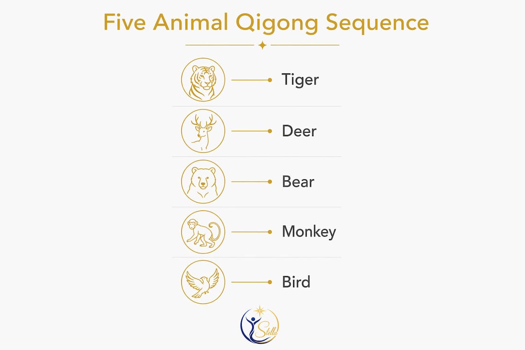 Infographic illustrating Five Animal Qigong sequence steps