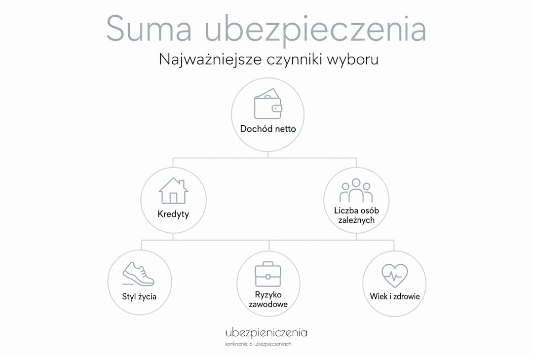 Schemat pokazujący, jakie czynniki mają największy wpływ na wysokość sumy ubezpieczenia