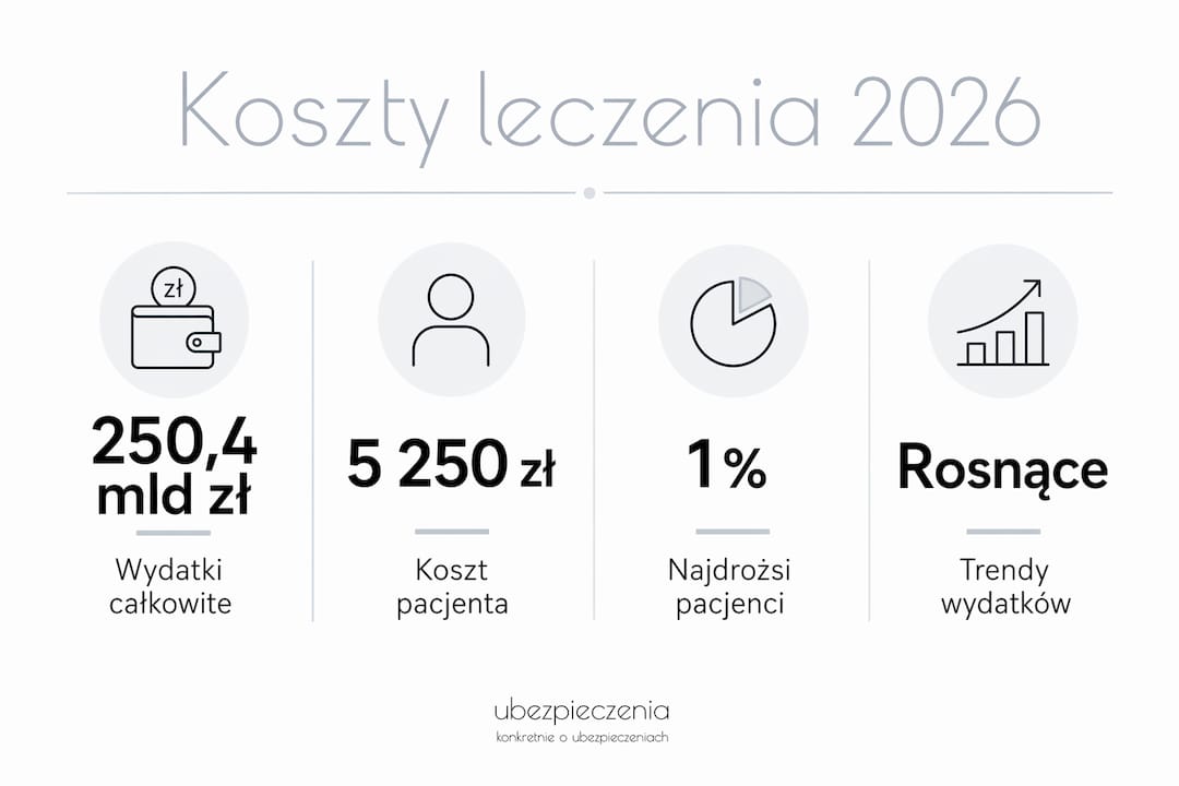 Grafika ilustrująca najważniejsze wydatki związane z leczeniem w Polsce