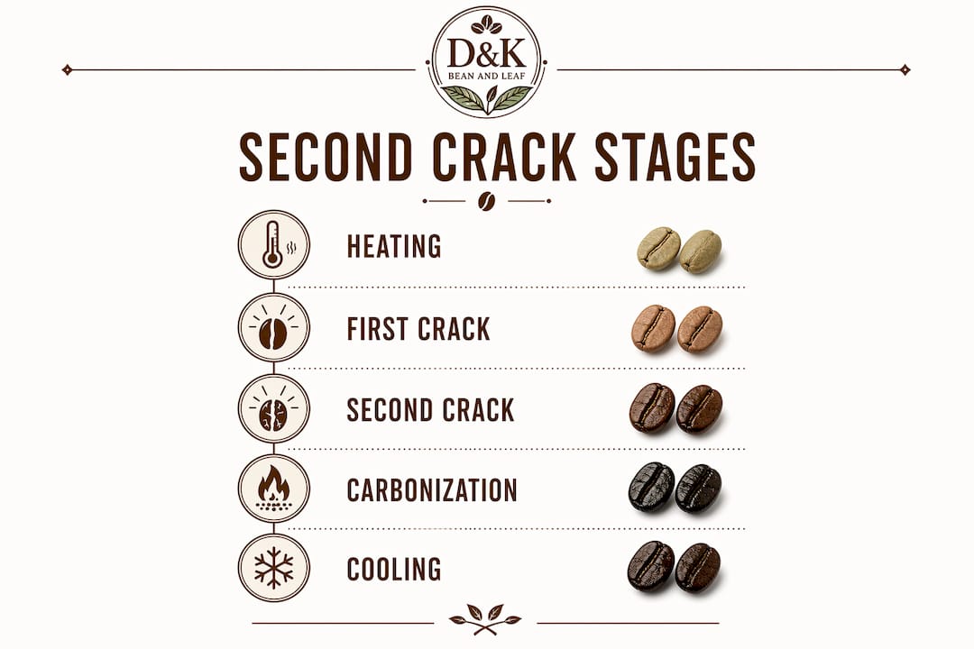 Infographic illustrating stages of second crack roasting