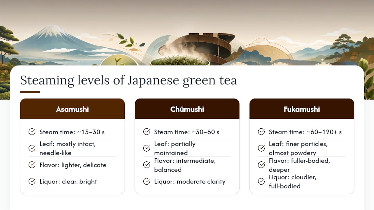 Diagram showing steaming levels and effects on tea leaves