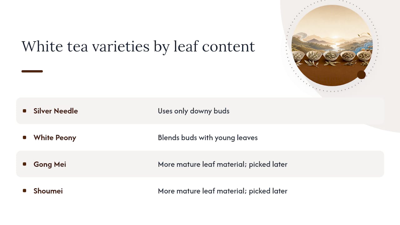 Diagram comparing white tea varieties by leaf composition and harvest time