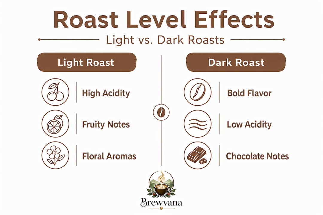 Infographic comparing light and dark roast effects
