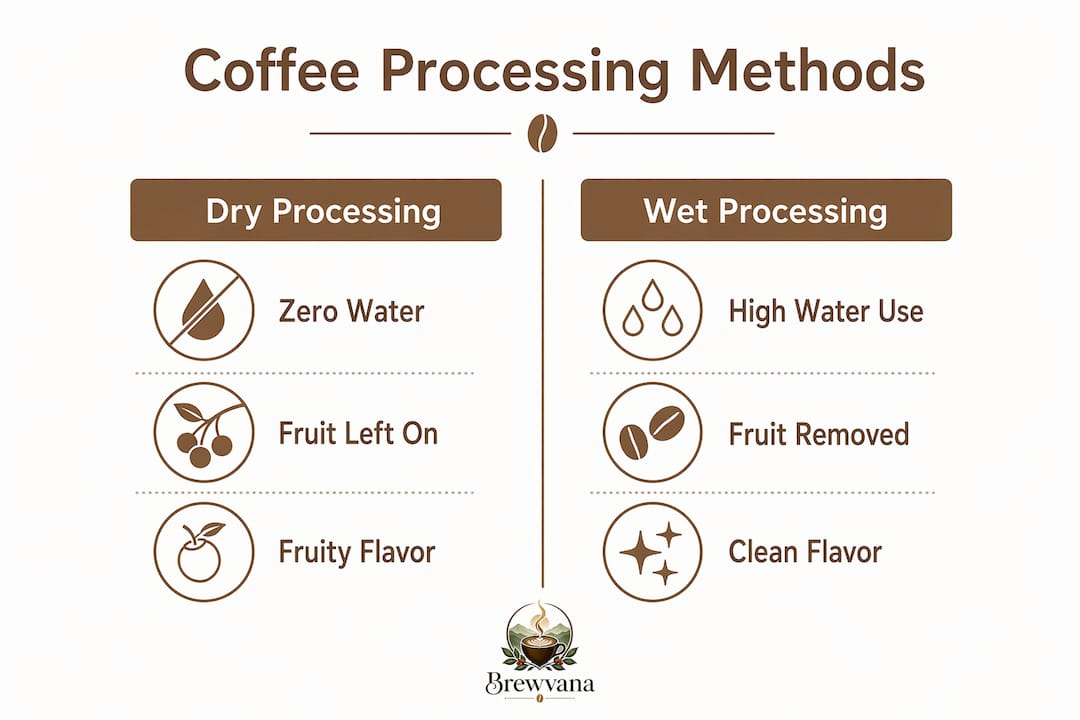 Infographic comparing dry and wet coffee processing methods