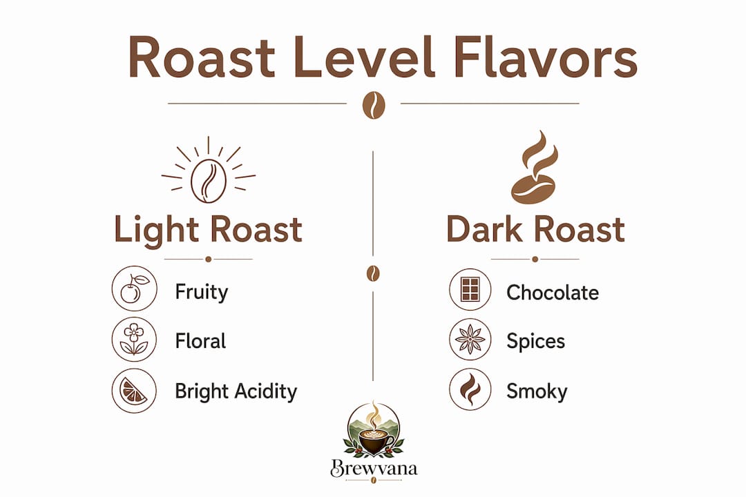 Infographic comparing light and dark roast flavor notes