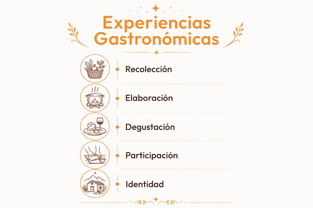 Infografía: recorrido por las distintas fases de una experiencia gastronómica en el entorno rural
