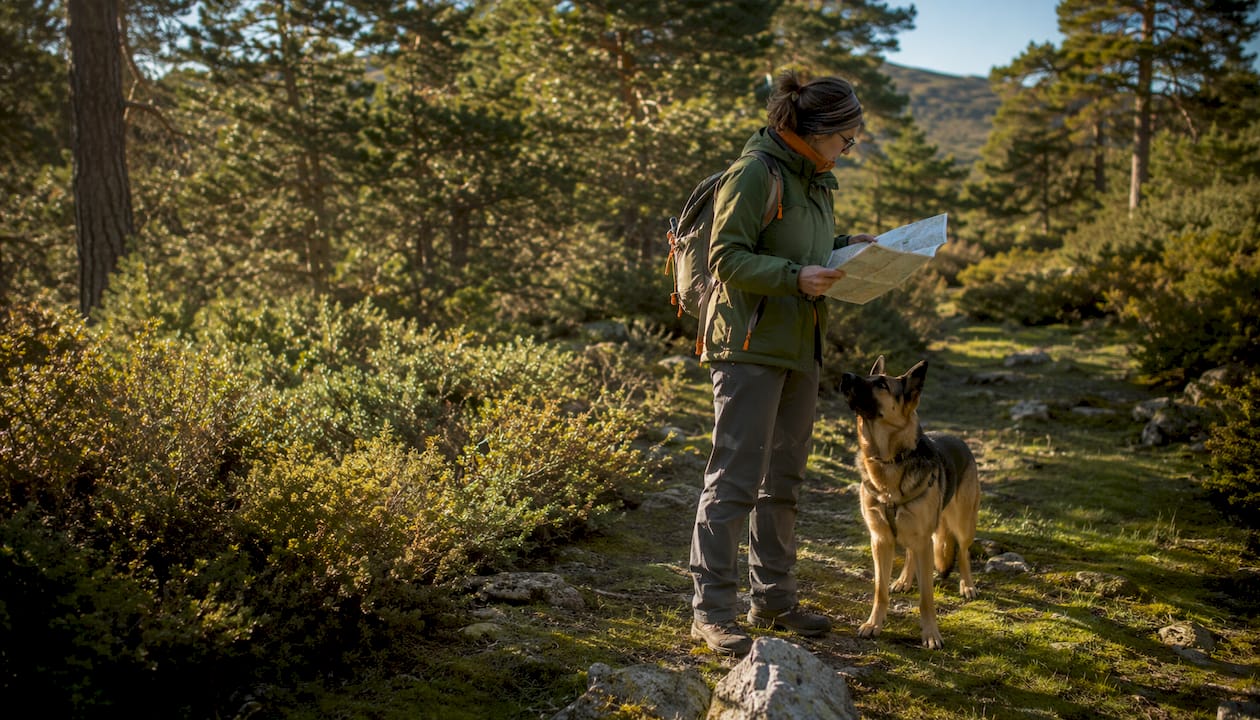 Una mujer consulta el mapa mientras hace senderismo con su perro por la Sierra de Ayllón.