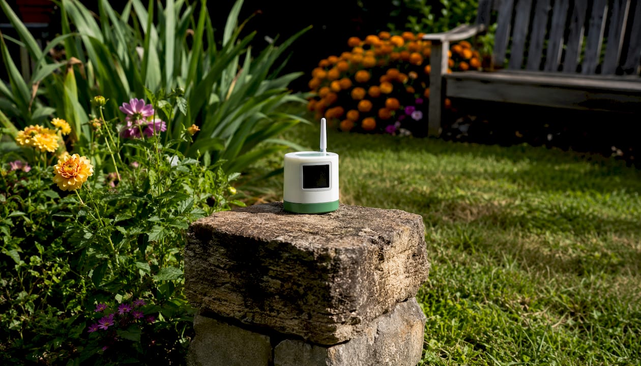 Close-up of humidity sensor in shaded backyard area