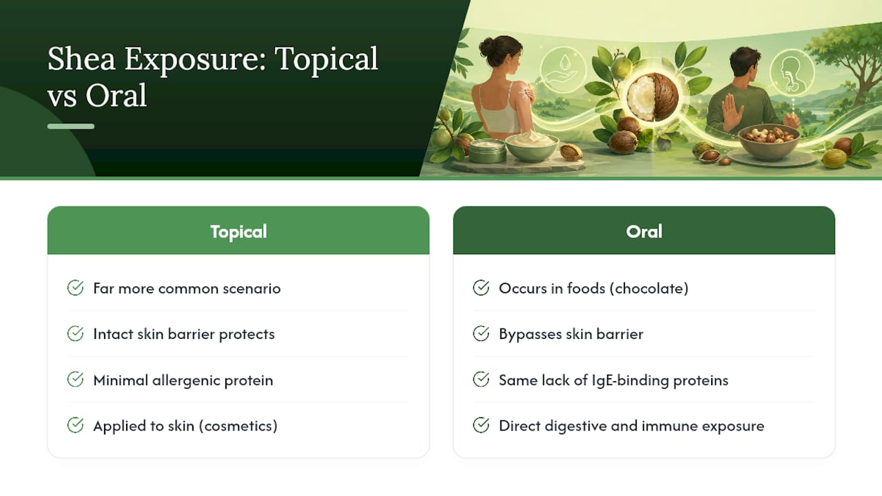 Topical and oral shea exposure comparison