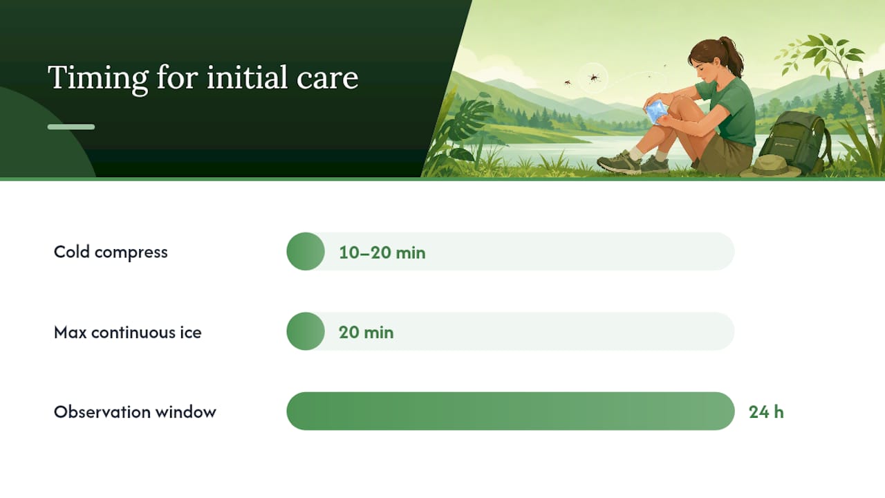Step-by-Step First Aid to Reduce Bug Bite Swelling — overview diagram