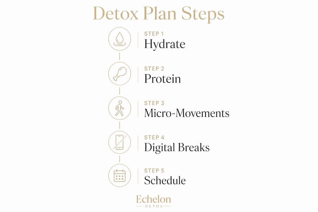 Infographic outlining detox planning steps