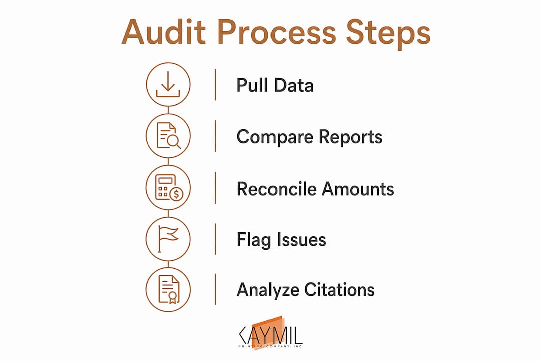 Infographic outlining step-by-step parking audit process