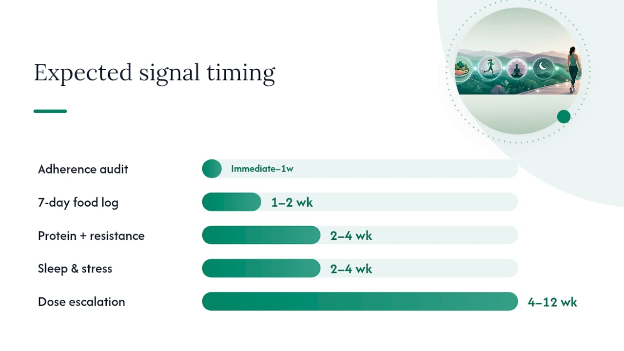 Timeline comparing intervention effects on weight loss
