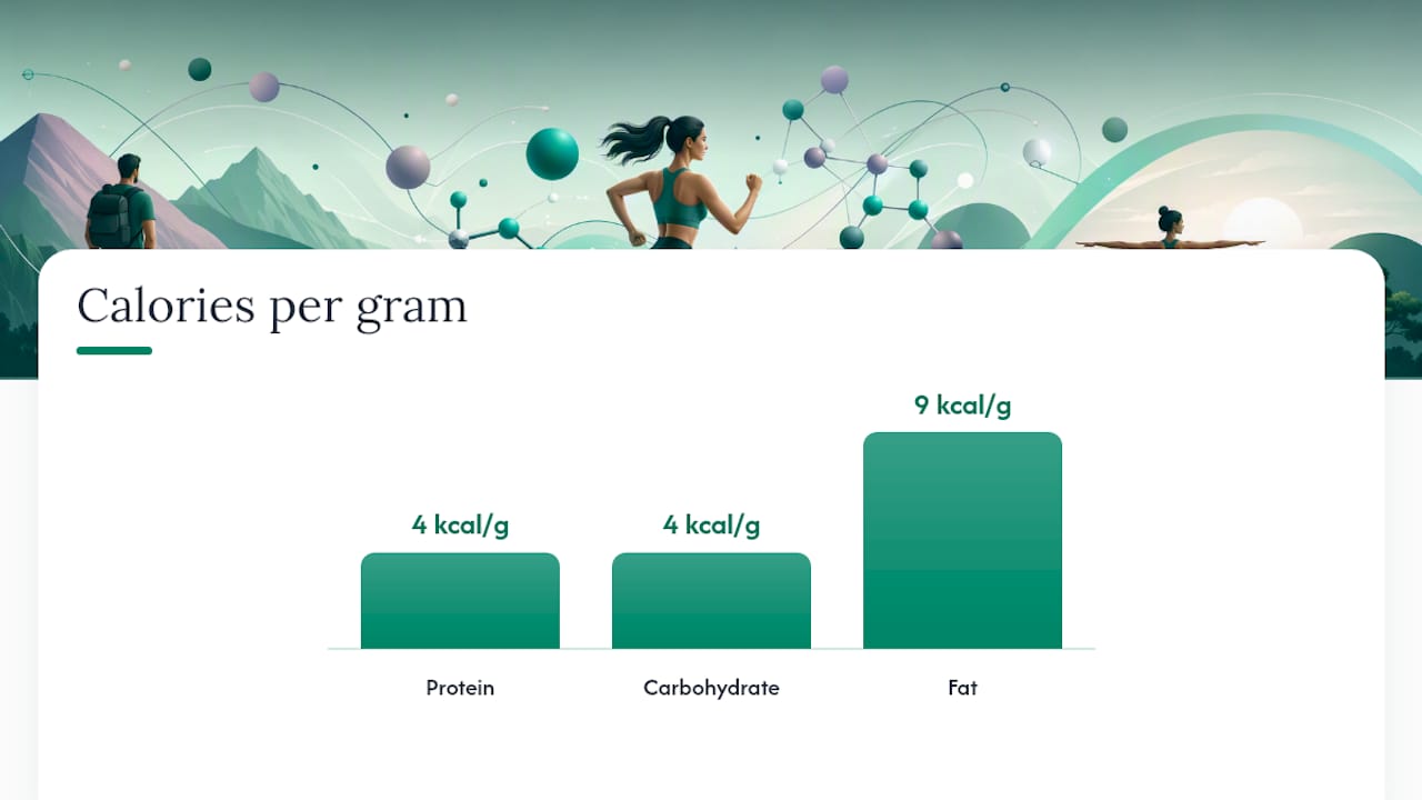 How Do You Calculate Macros for Fat Loss? — overview diagram