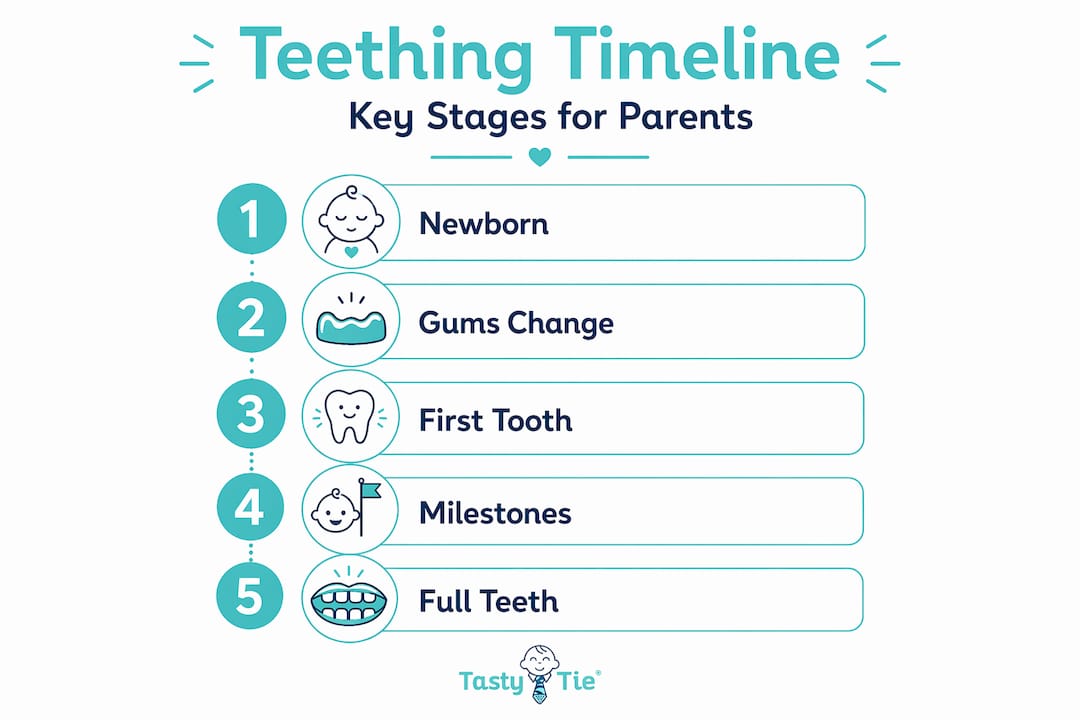 Teething timeline infographic with five key stages