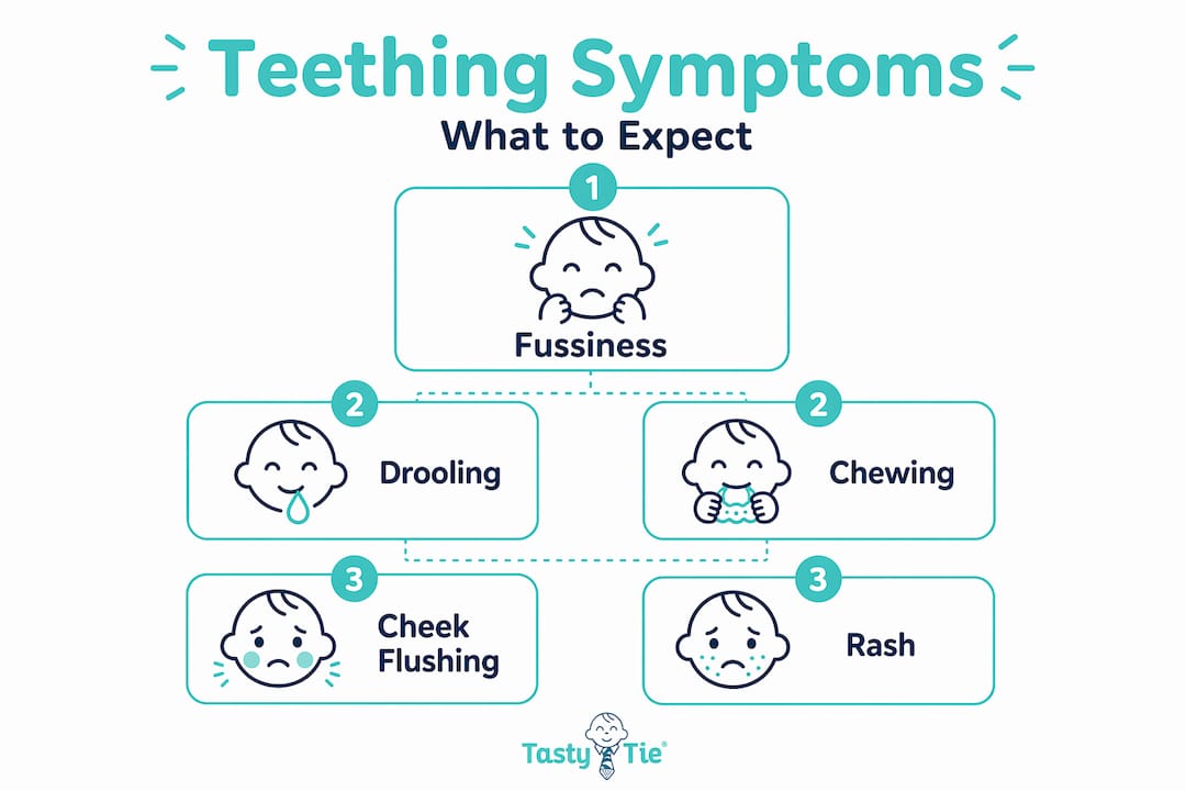 Hierarchy infographic of common teething symptoms