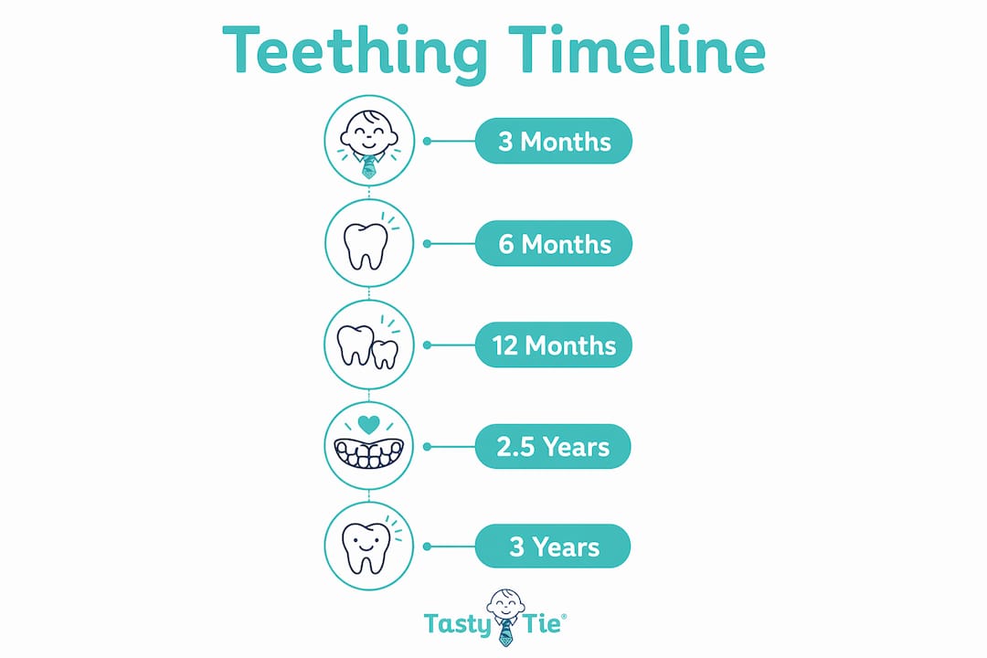 Infographic showing typical teething timeline stages