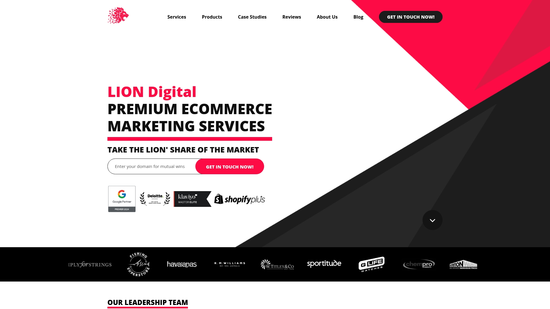 https://liondigital.com.au